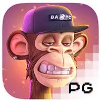 pp image